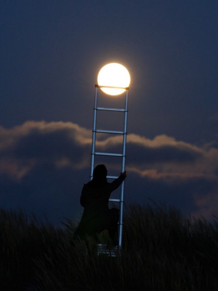 Moon8