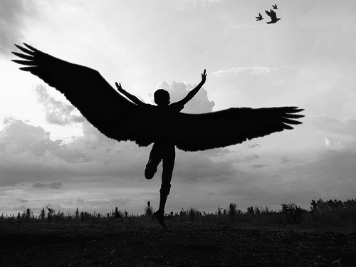fly